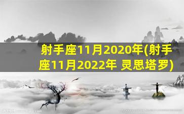 射手座11月2020年(射手座11月2022年 灵思塔罗)